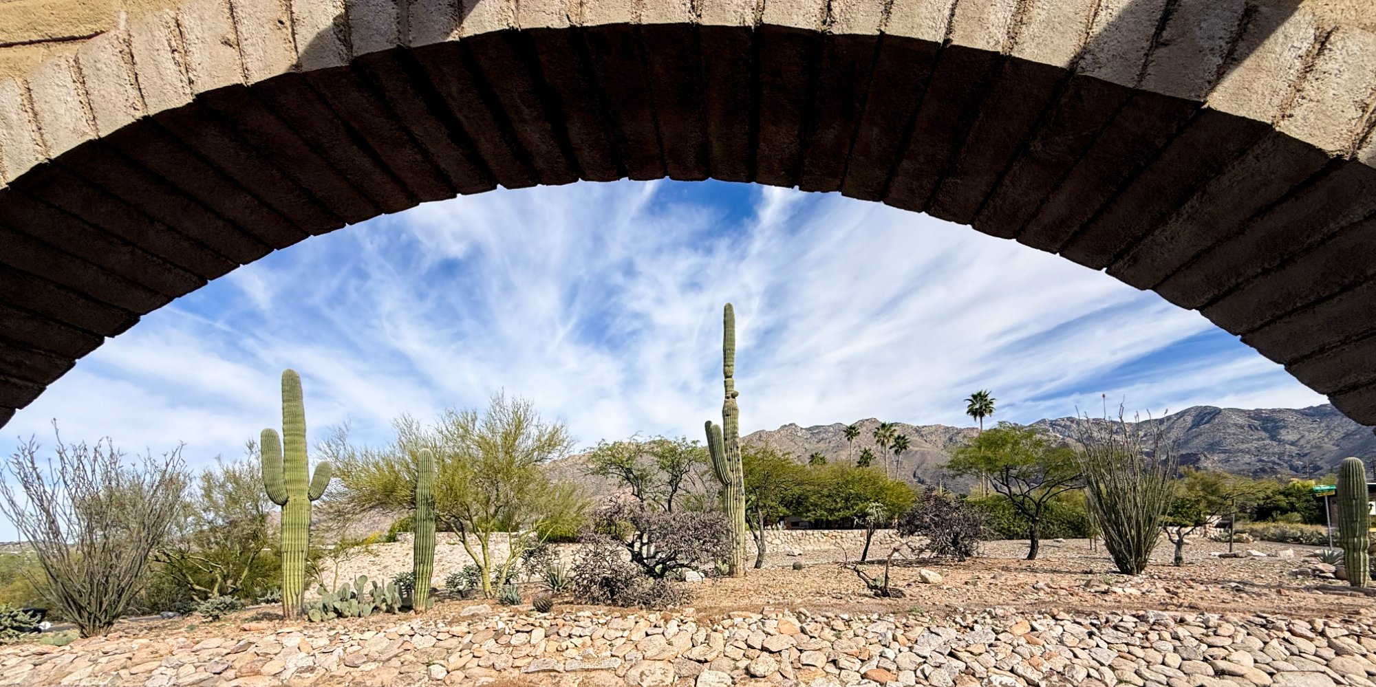 View through the iconic masonry arch — saguaro cactus, desert landscape, and the Santa Catalina Mountains